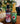 Hot 4 Christmas - 4 Pack